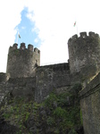 SX23248 Conwy Castle.jpg